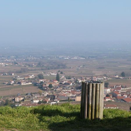 Logis Hotel Des Grands Vins Fleurie Exteriér fotografie