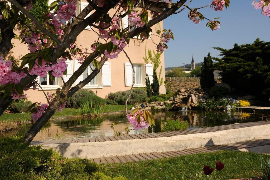 Logis Hotel Des Grands Vins Fleurie Exteriér fotografie