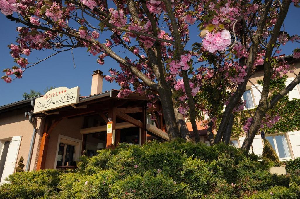 Logis Hotel Des Grands Vins Fleurie Exteriér fotografie